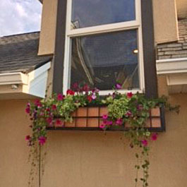 Springfield window box cage with copper insert