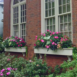 Traditional window boxes with towering displays