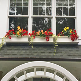 Three Traditional window boxes on triple window above front entrance