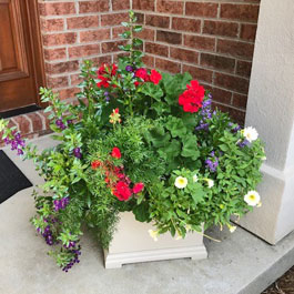 Centerpiece planter on front doorstep with gorgeous display