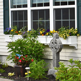 Window boxes with daisies, marigolds, and purple petunias