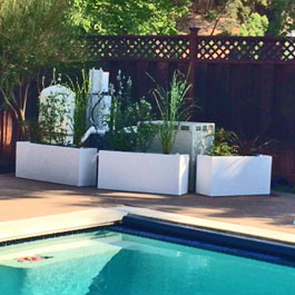 Large Modern planters poolside in front of pool system