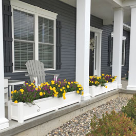 Purple and yellow marigolds in planters between front porch columns