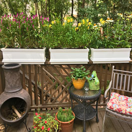Porch Garden with rail planters
