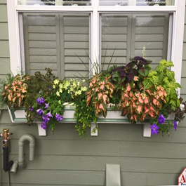 white tapered window box with green off color trim
