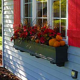 fall window box with red flowers and pumpkins