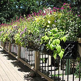 wrought iron flower box on composite and metal railing