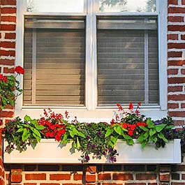 red and green window box in syracuse new york