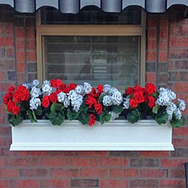 red and white rose window box