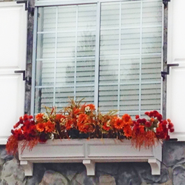 fall window box with orange flowers and orange leaves