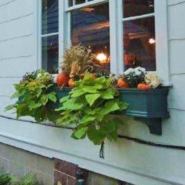 fall window box with hanging vines, pumpkins, and squash