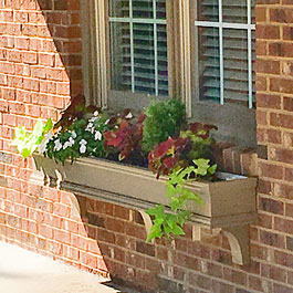 Brown Window Box with Coleus and Sweet Potato Vine on Brick Preschool