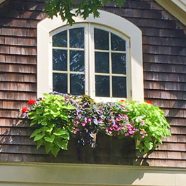 Overflowing window box on second floor window