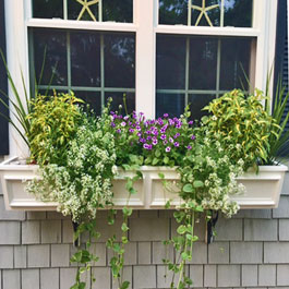 Decorative cream colored tapering window box with vines