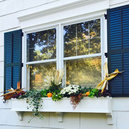 Charleston window box with fall plantings, corn husks, pumpkins