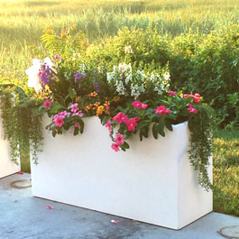 White Modern planters on edge of concrete patio