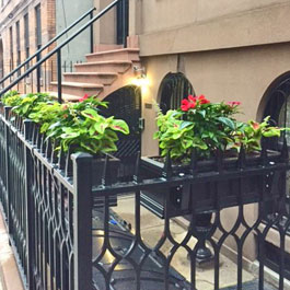 Private porch area in New York city 