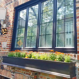 Orange wildflowers in black window box