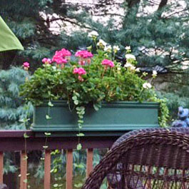 Green railing flower box