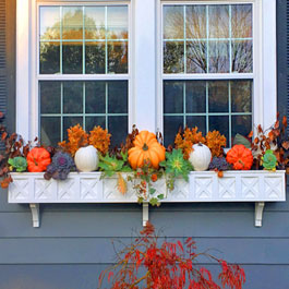 long window box with pumpkins