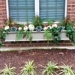 white pumpkins in fall window box