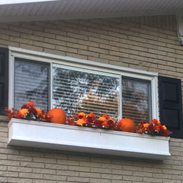 Fall pumpkin display
