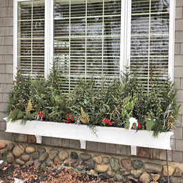 Winter Window Box Ideas