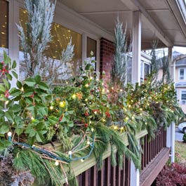 Christmas lights green window box