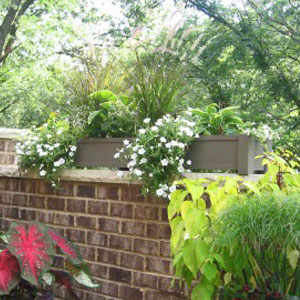 English Garden Planters