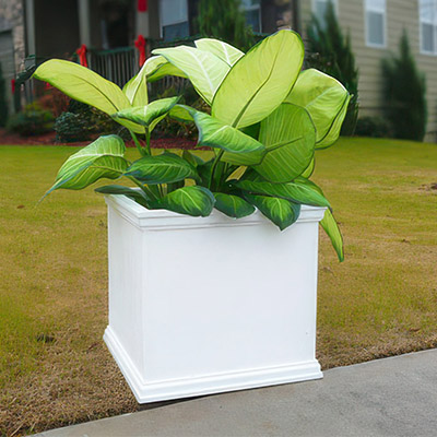 White Cube Charleston Planter