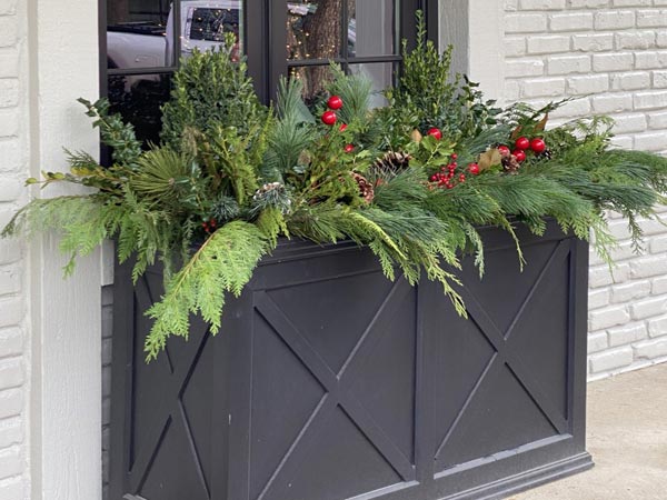 Decorating Ideas for Winter Window Boxes