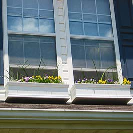 yellow flower autumn window boxes