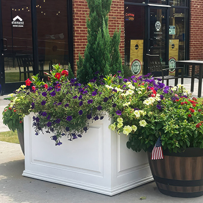 Large White Planters for Trees