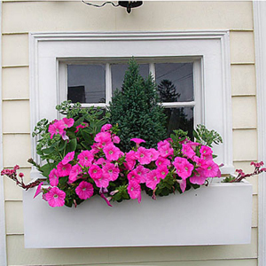 White Modern Window Box - Simple White Flower Box