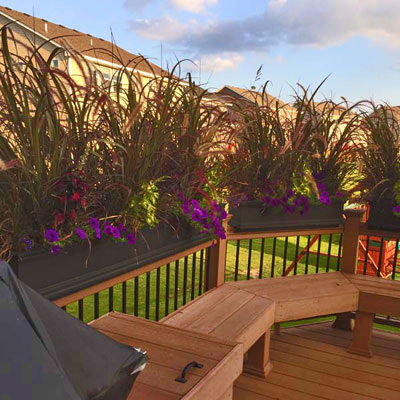 Tall Grasses in Window Box