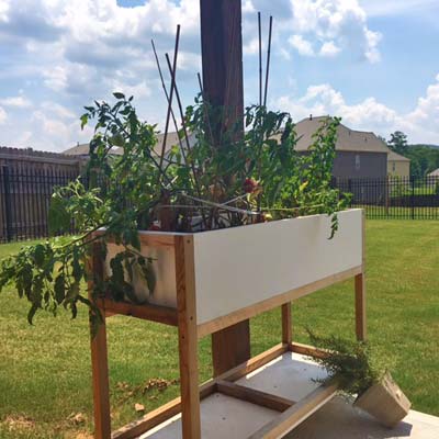 cedar and pvc raised bed garden