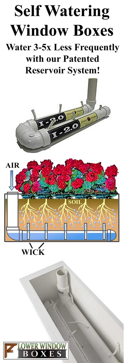 Self-watering window boxes