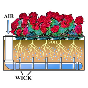 Self Watering reservoir Diagram