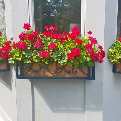 Wrought Iron Window Boxes