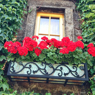 Wrought Iron Window Box with Red Flowers