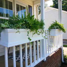 fern planters on white porch railing during christmas