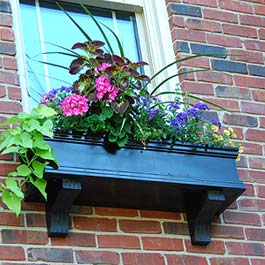 black window box with beautiful coleus flower center piece