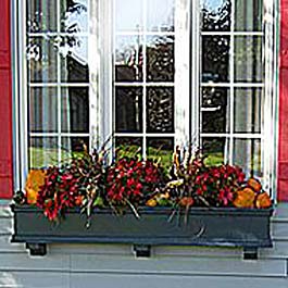 blue window box with pumpkins and squash decorations