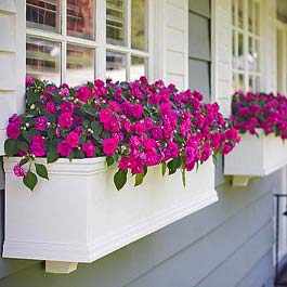 flower window box angled view with pink impatien flowers