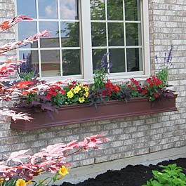 burgundy window box with japanese maple and red and yellow flowers
