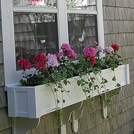 geraniums in window box with cottage brackets