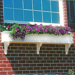 colonial window box on brick with purple flowers