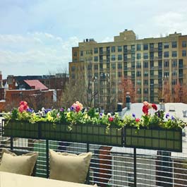 very long metal flower box on back deck railing