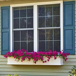 pink flower window box