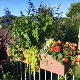 brown metal fence rail planter with lots of flowers